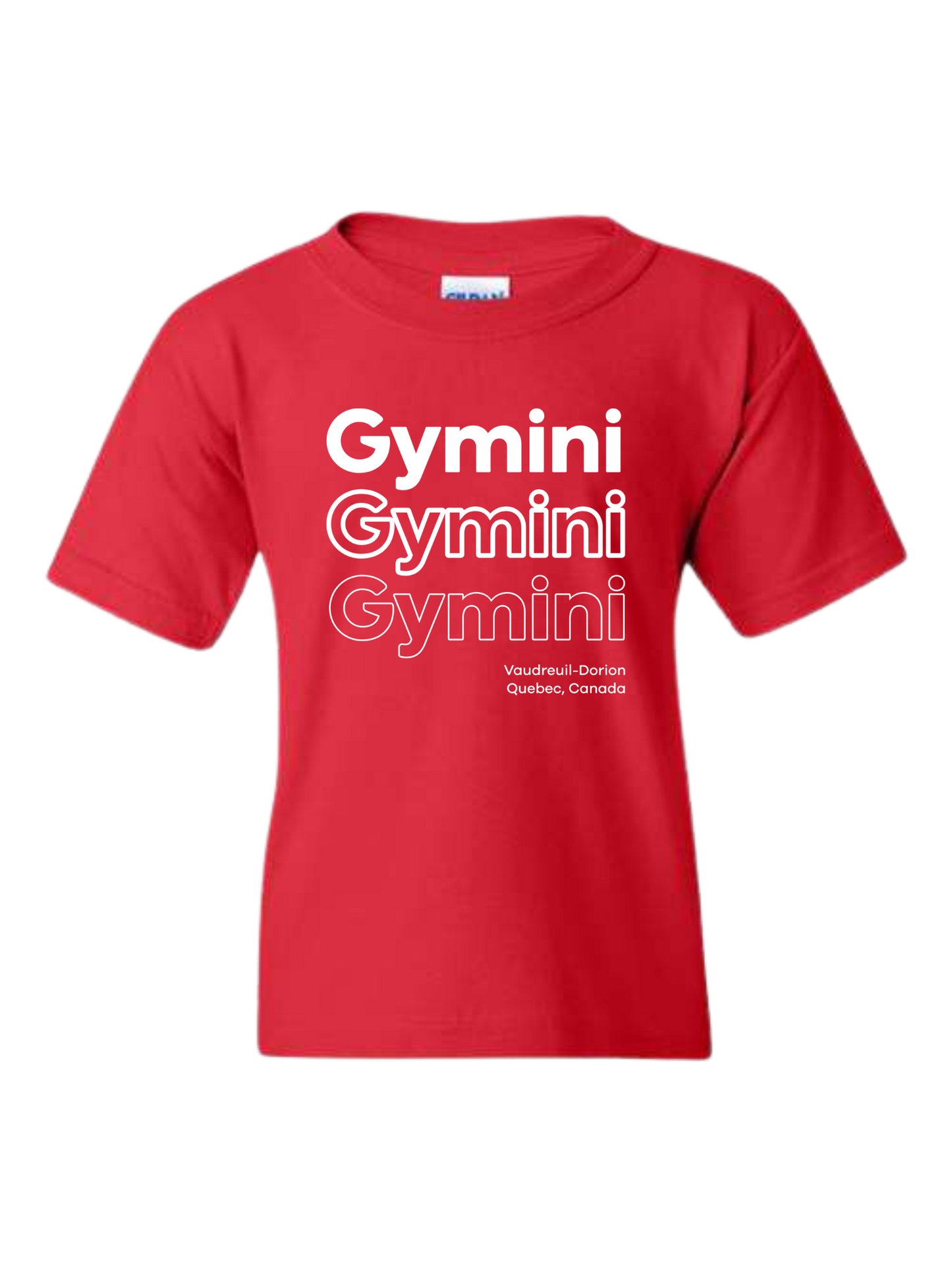 Gymini Gymini Gymini (Youth Tee)