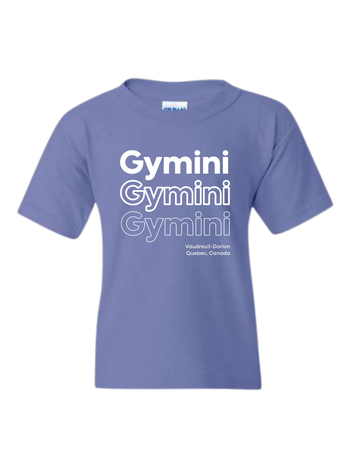 Gymini Gymini Gymini (Youth Tee)